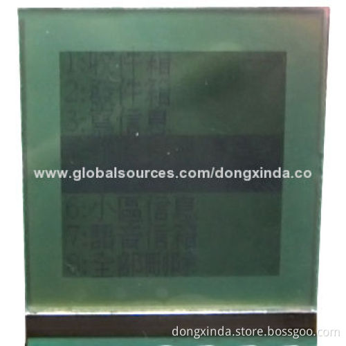 FSTN LCD Module with 128 x 128 LCD Display